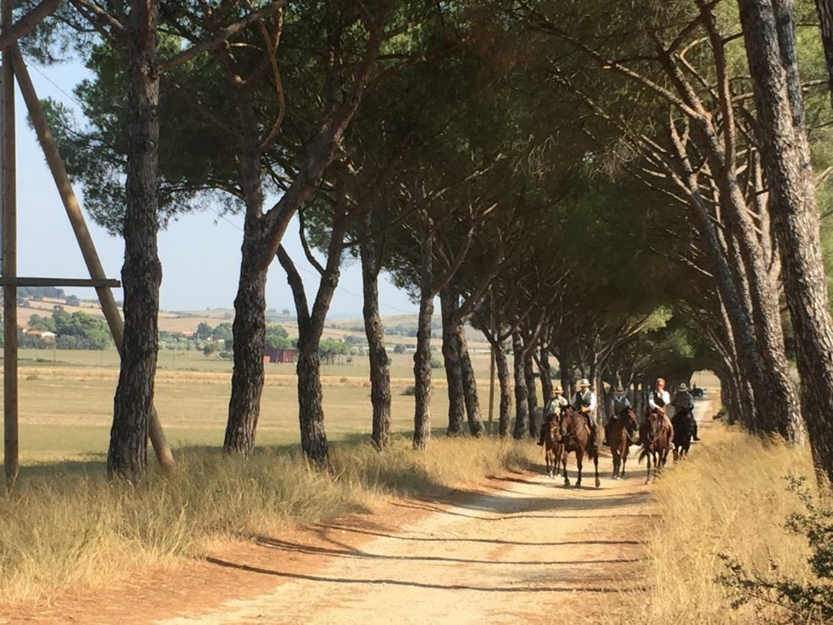 Agriturismo La Valentina Nuova Talamone Dış mekan fotoğraf