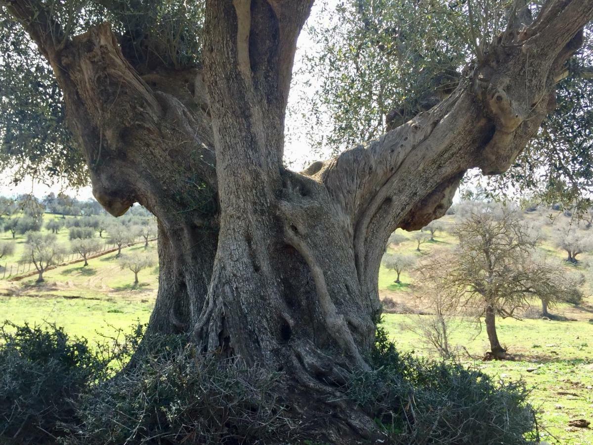 Agriturismo La Valentina Nuova Talamone Dış mekan fotoğraf